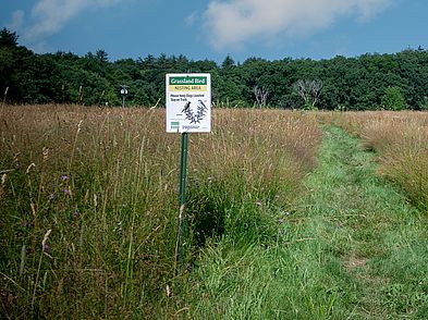 Hans Morris Reservation