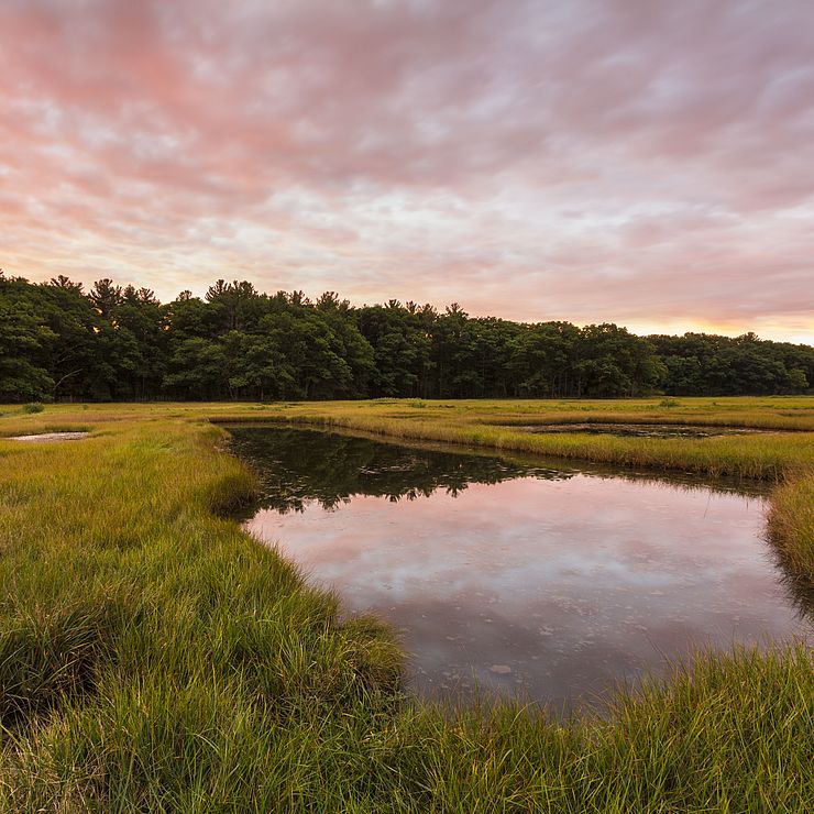 Castle Neck Marsh at Dawn Castle Neck Salt Marsh