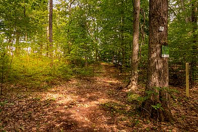 Bailey Reservation