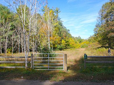 Willowdale Meadow