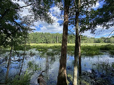 Arthur Ewell Reservation