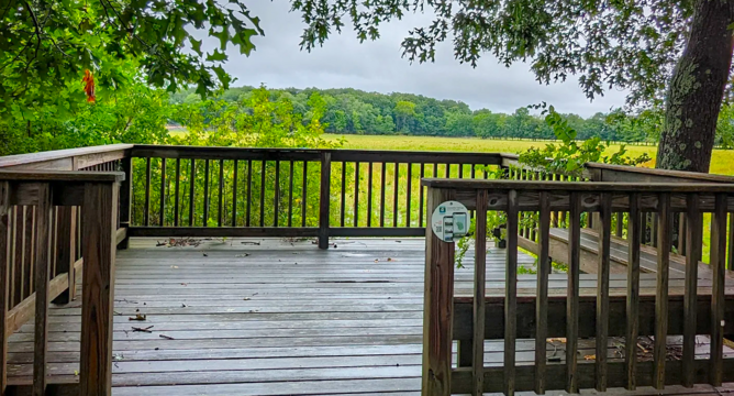 Wet Meadows Viewing Platform