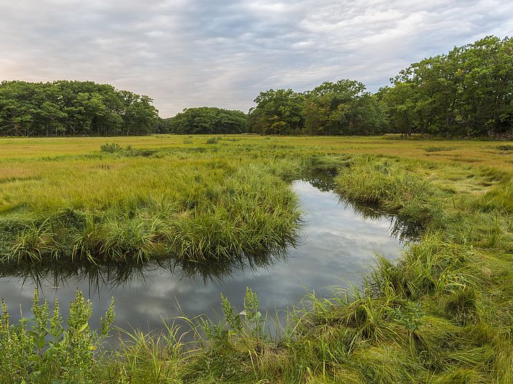 Great Marsh