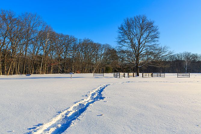 Julia Bird Reservation