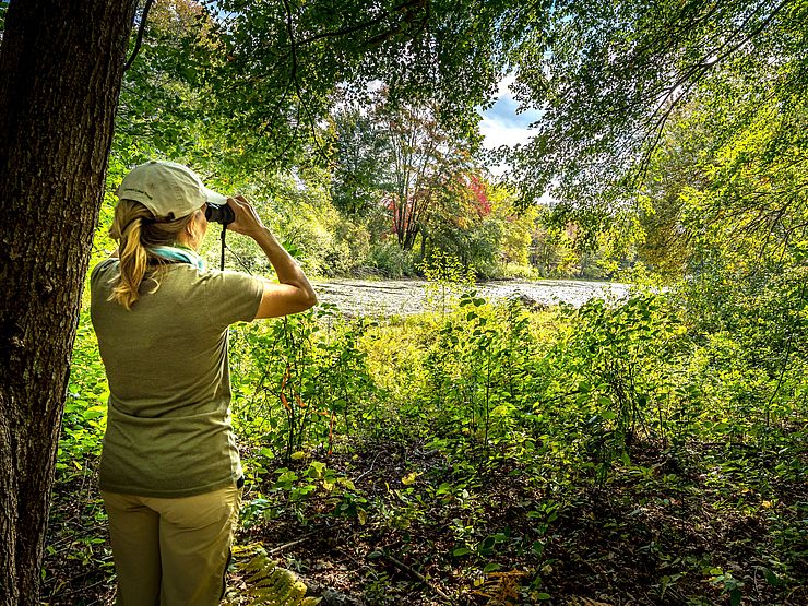 Artichoke River Woods