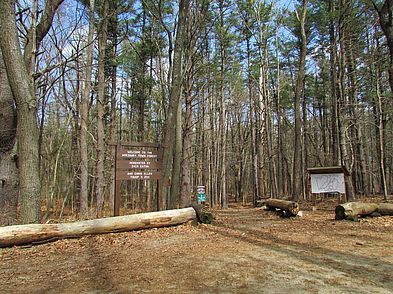 Amesbury Town Forest