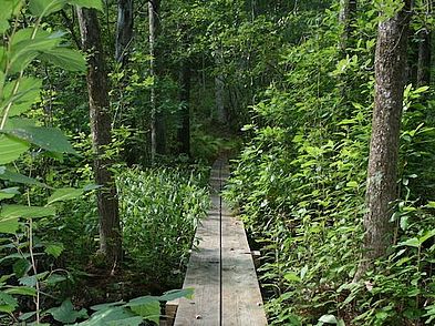 Farnsworth Reservation