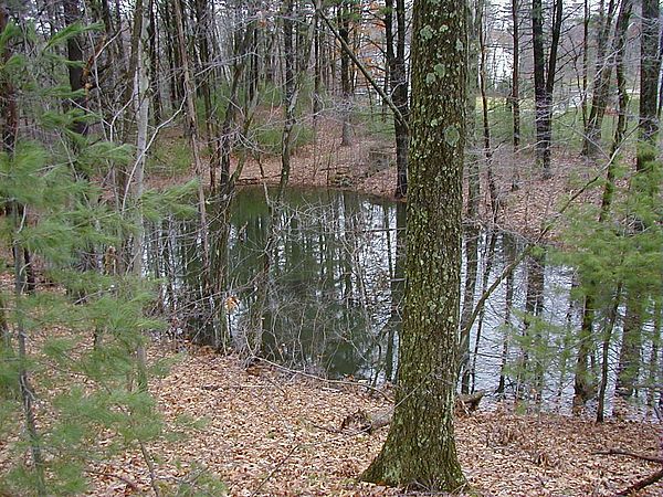 Farnsworth Reservation Vernal Pool