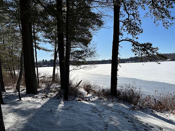 Towering trees overlooking a frozen Chadwick Pond