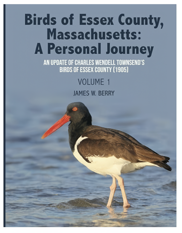 Birds of Essex County Book