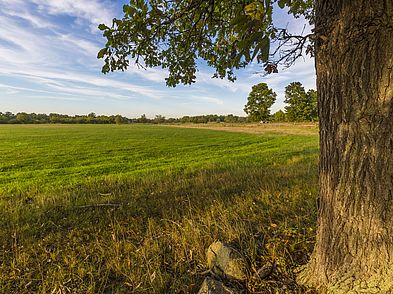 Castle Neck River Reservation