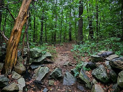 Ordway Reservation