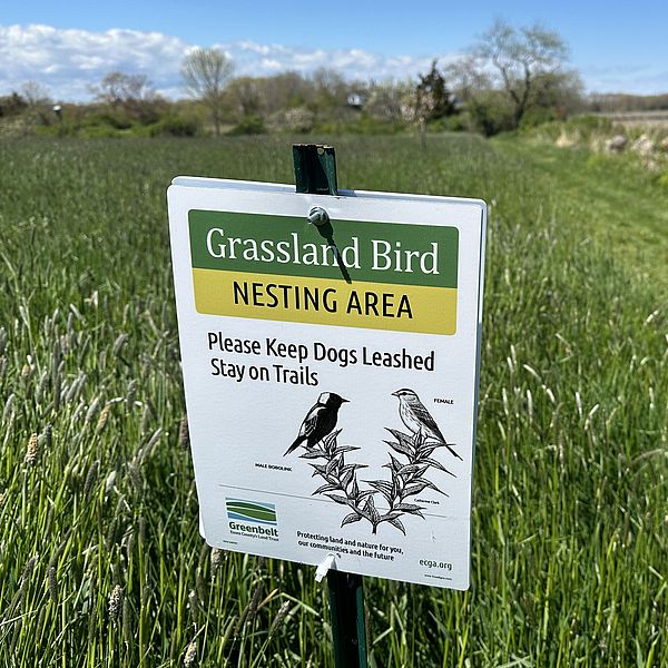 Grassland Birds Nesting Sign