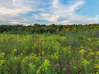 Jennie Lagoulis Reservation