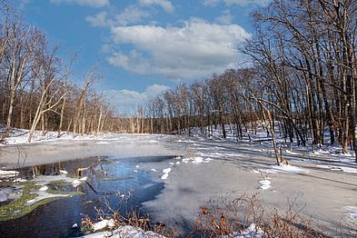 Bailey Reservation