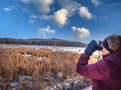 Carter Fields Boxford