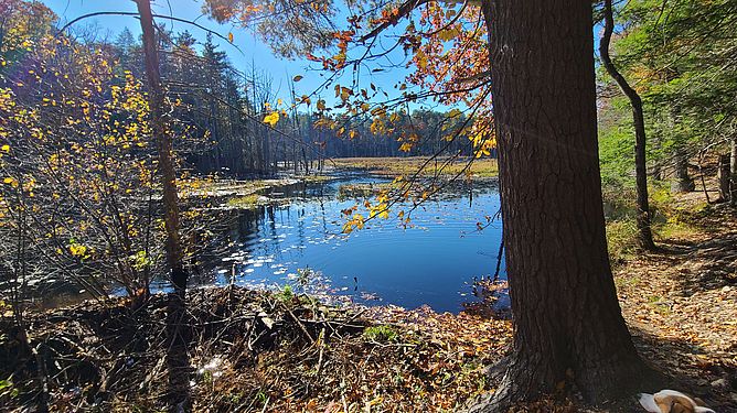 Bald Hill Reservation