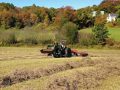 Leonhard Farm