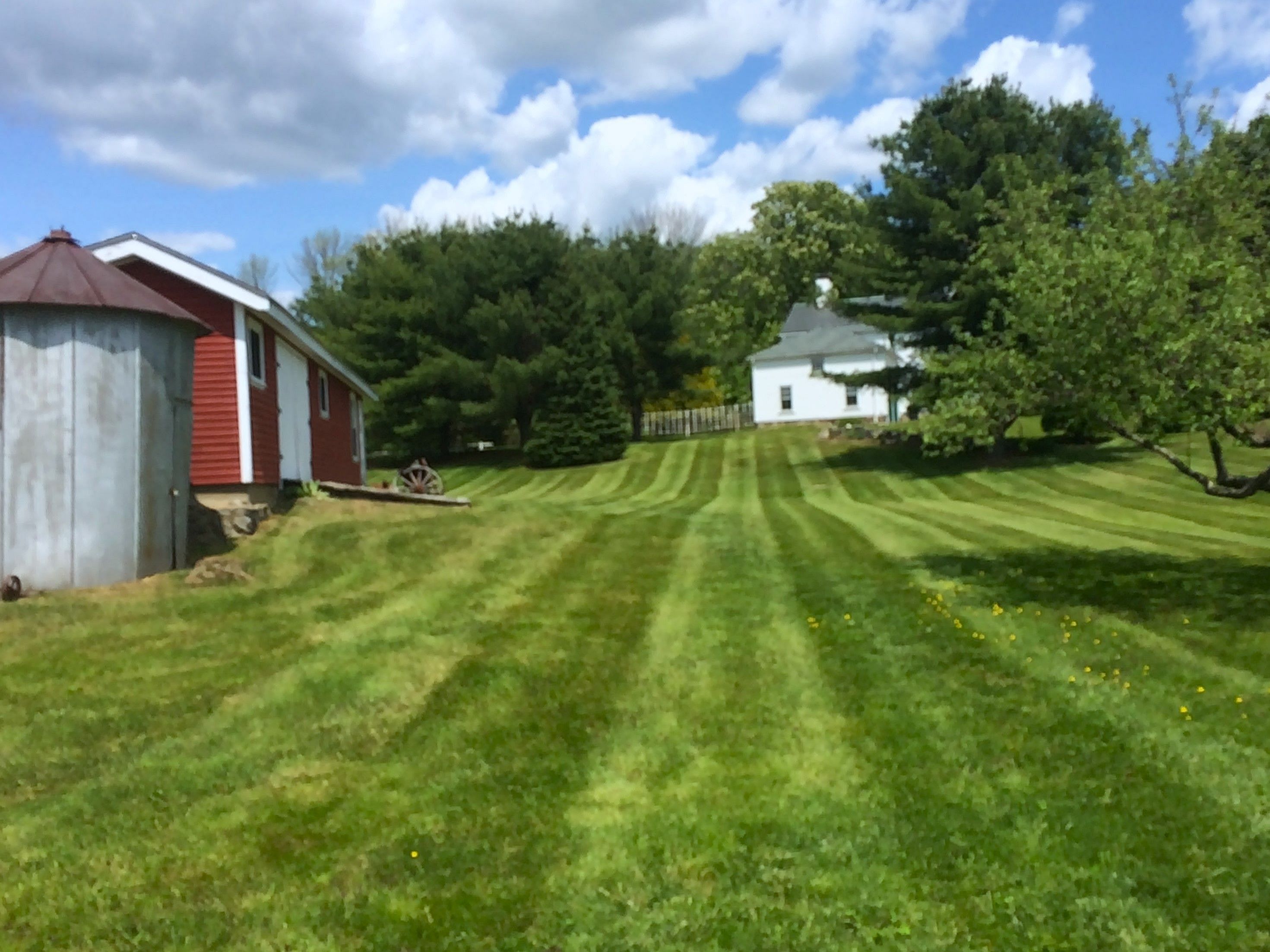 Lush green field and farmhouse