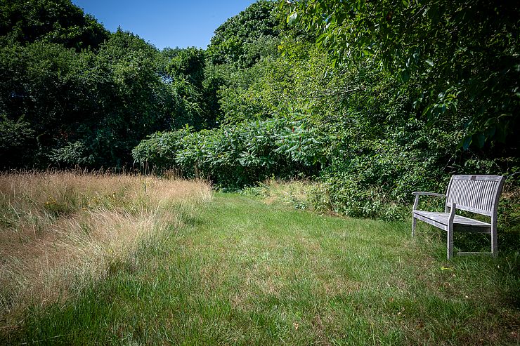 Newman Farm Meadow