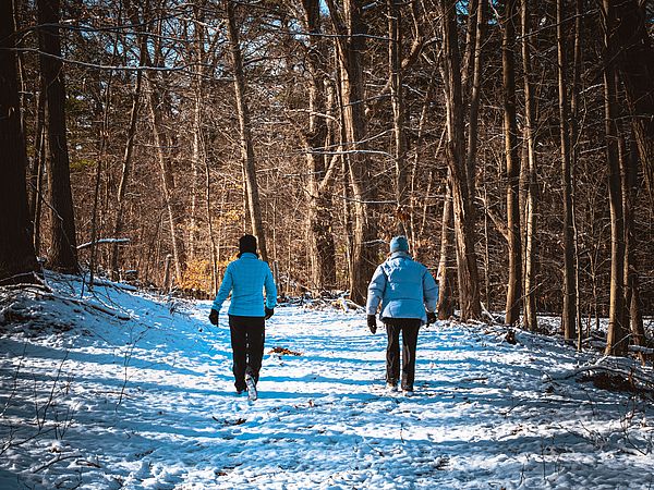 Vineyard Hill Hikers in Snow