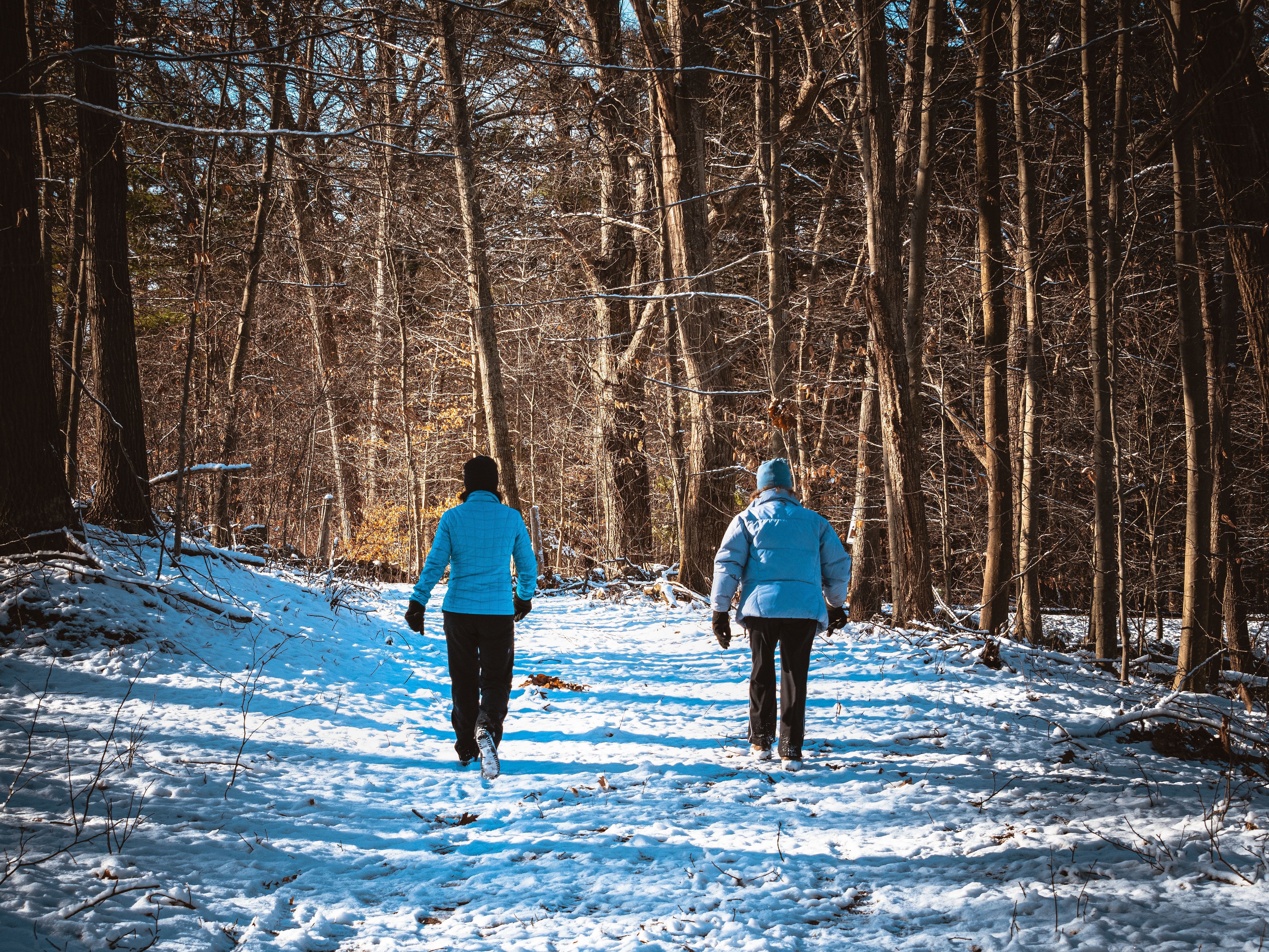 Vineyard Hill Hikers in Snow