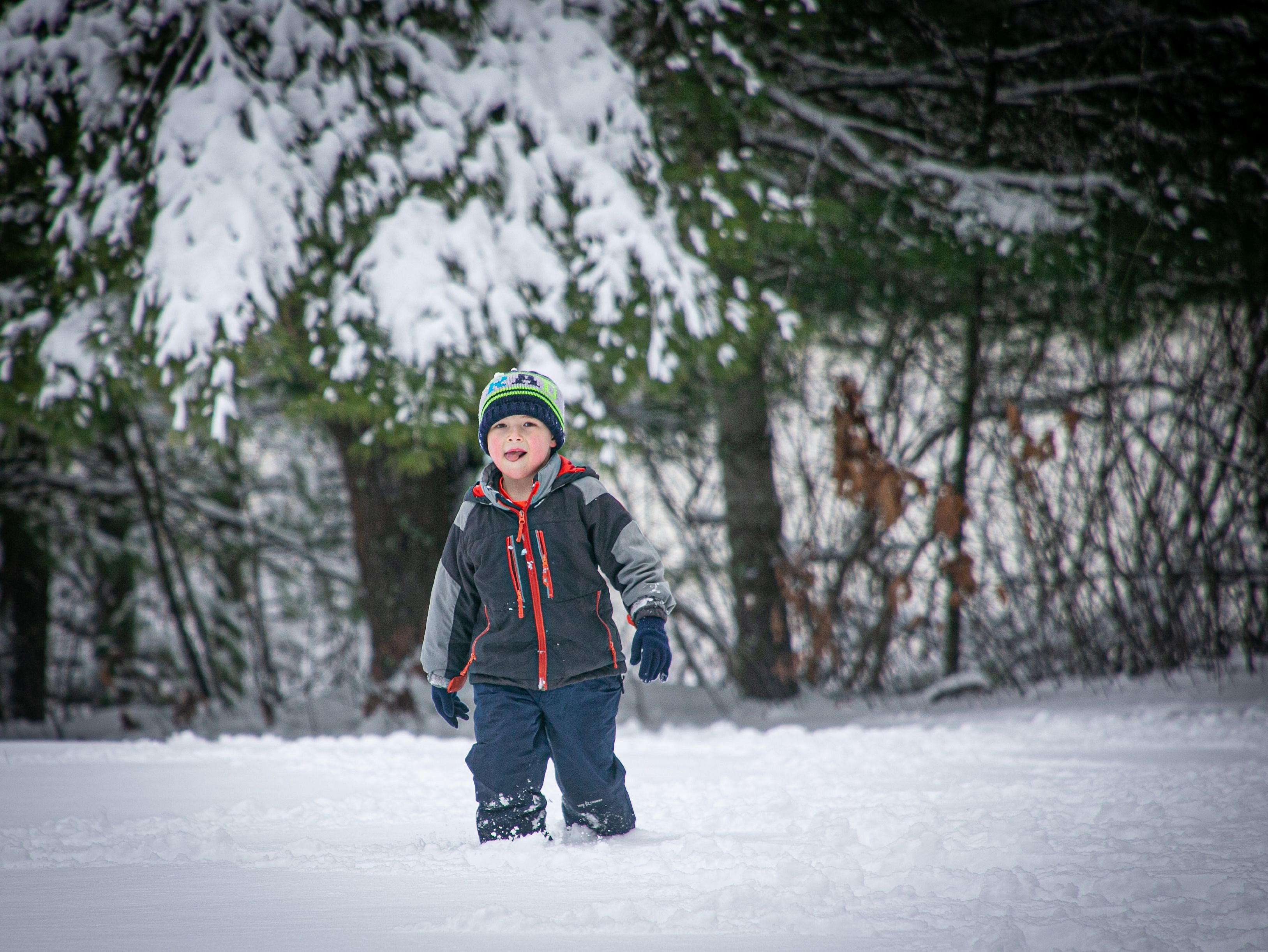 Arthur Ewell Kid in Snow A little kid standing in front of pine trees and wearing a snow suit, licks a snowflake off his chin.