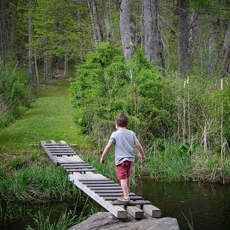 Sawmill Brook