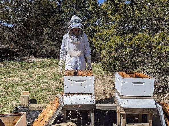 Essex County Greenbelt Beehive