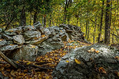 Artichoke River Woods