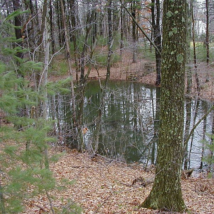 Vernal Pool Farnsworth Reservation