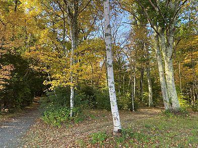 Julia Bird Reservation