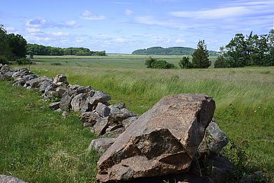 Allyn Cox Reservation