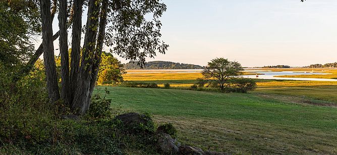 Allyn Cox Reservation