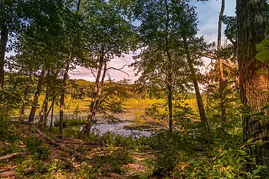 Bailey Reservation