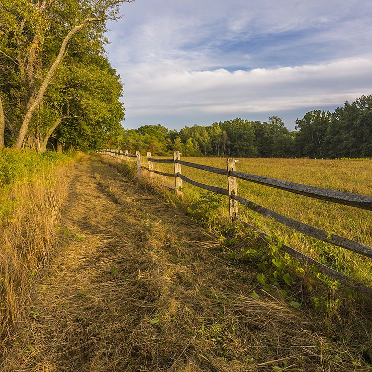 Castle Neck Reservation