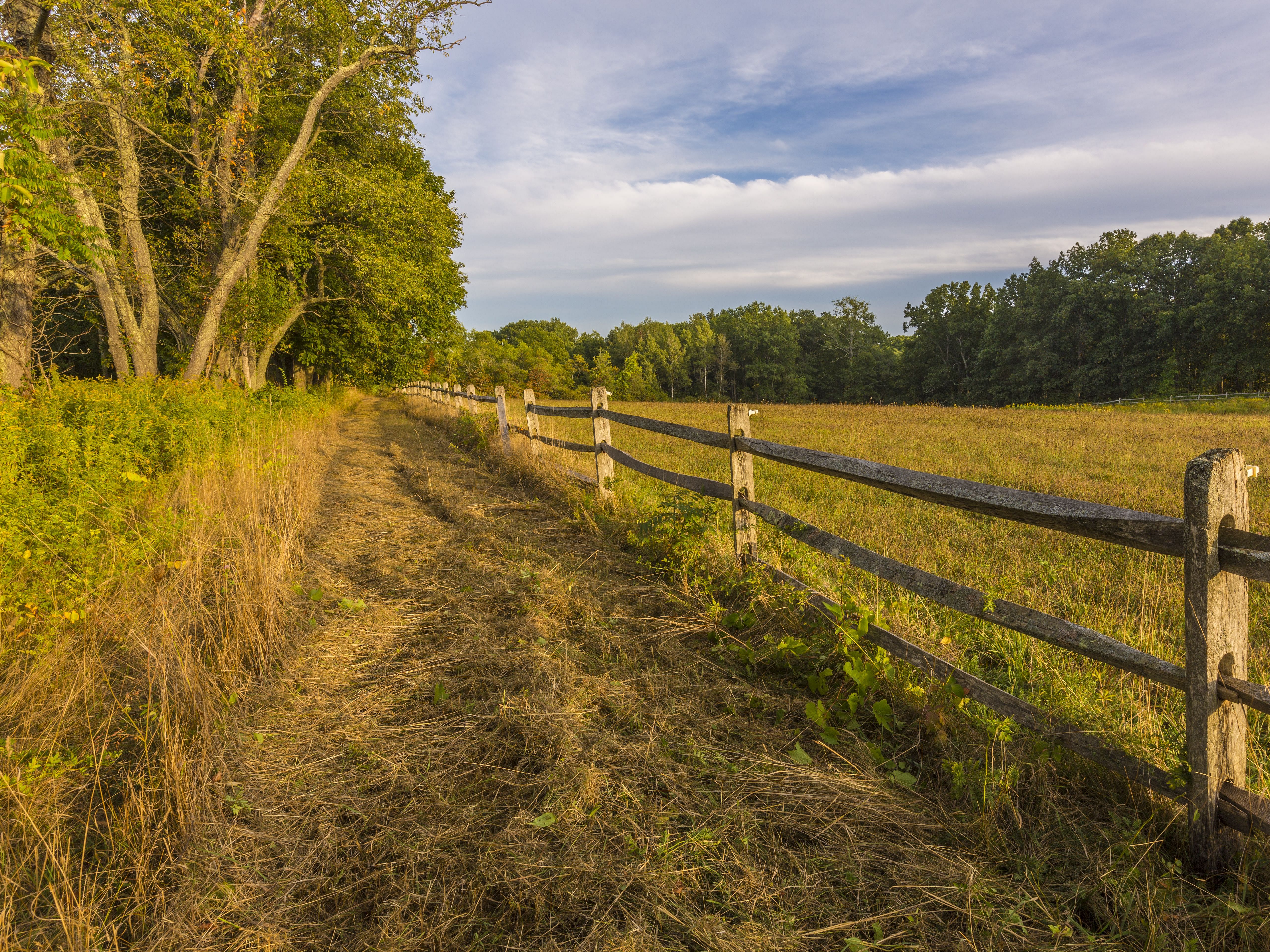 Castle Neck Reservation