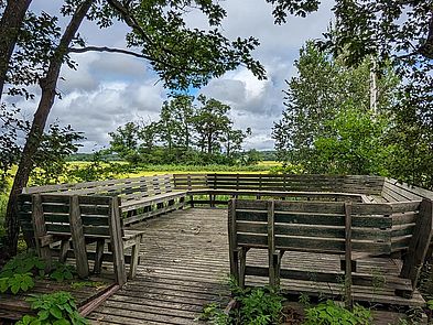 Rough Meadows