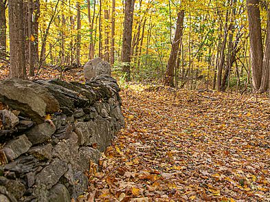 Indian Hill Farm