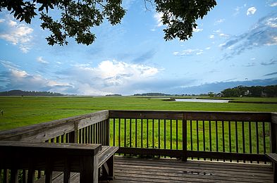 Allyn Cox Reservation Viewing Platform