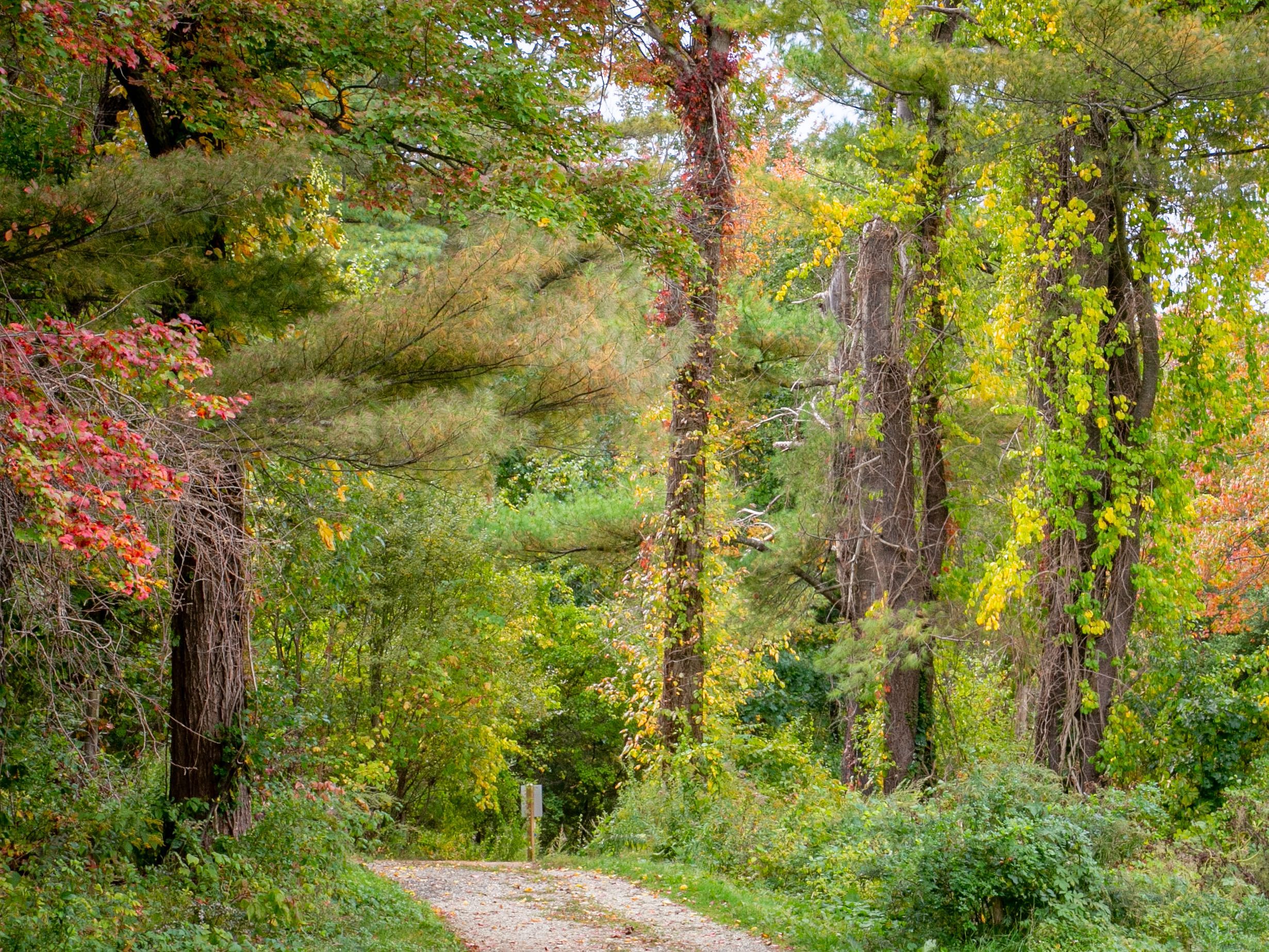Donovan Sagamore Hill Reservation