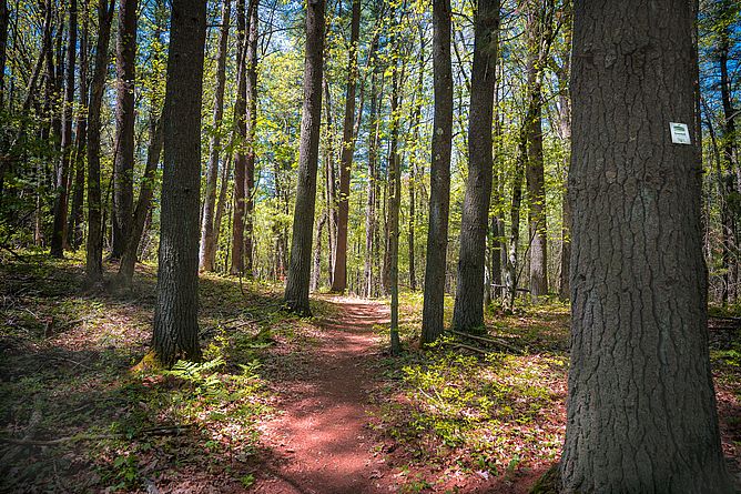 Farnsworth Reservation