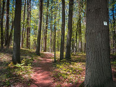 Farnsworth Reservation