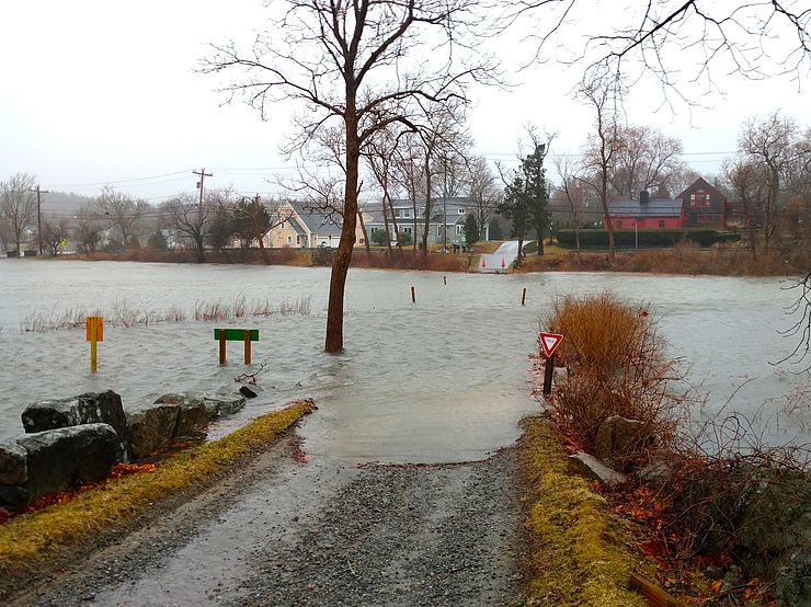 Winter Flooding Cox Reservation