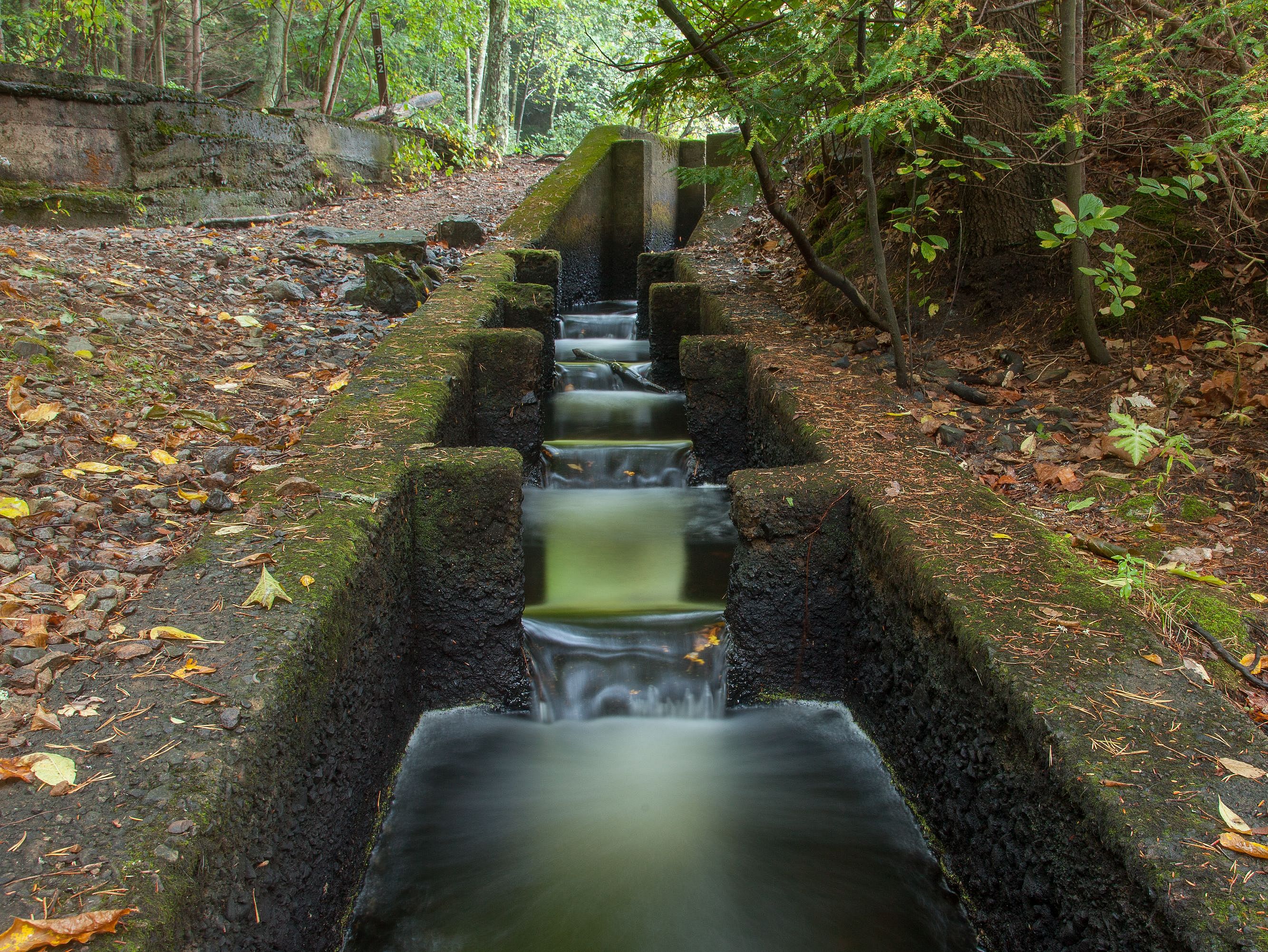 Willowdale: Improving Fish Passage