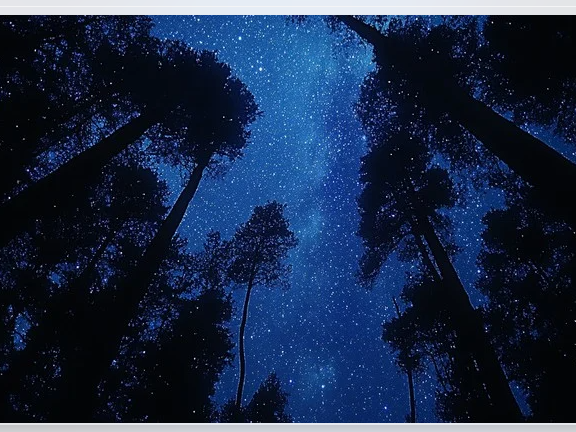 The Dark Side of Light Pollution -Hamilton Wenham Library