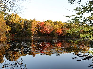 Ipswich River