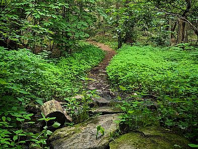 Carter Reservation