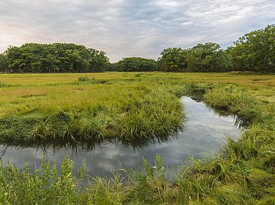 Castle Neck River Reservation