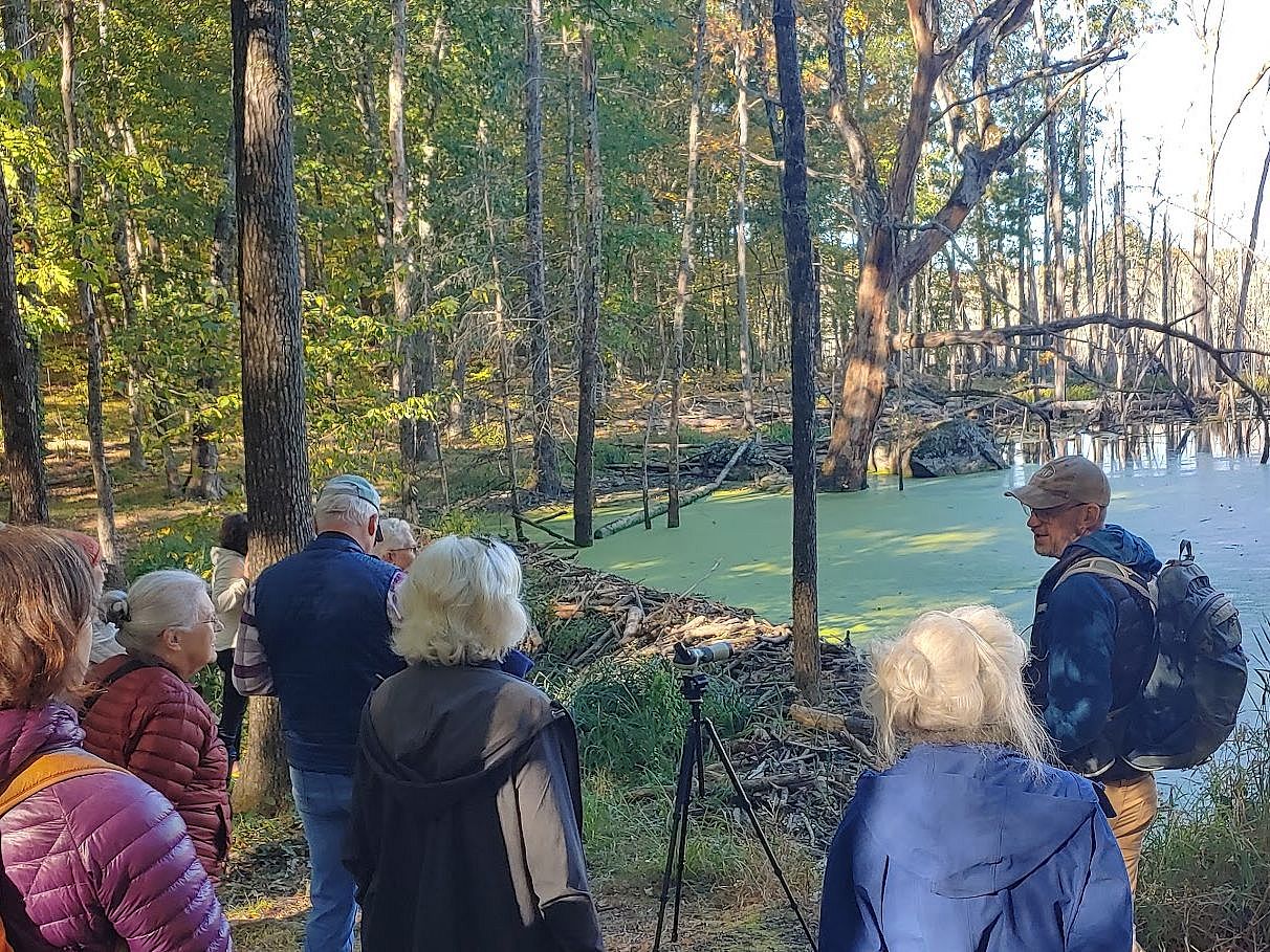 Canceled: Thursday Morning Birding Club @ Beverly Commons